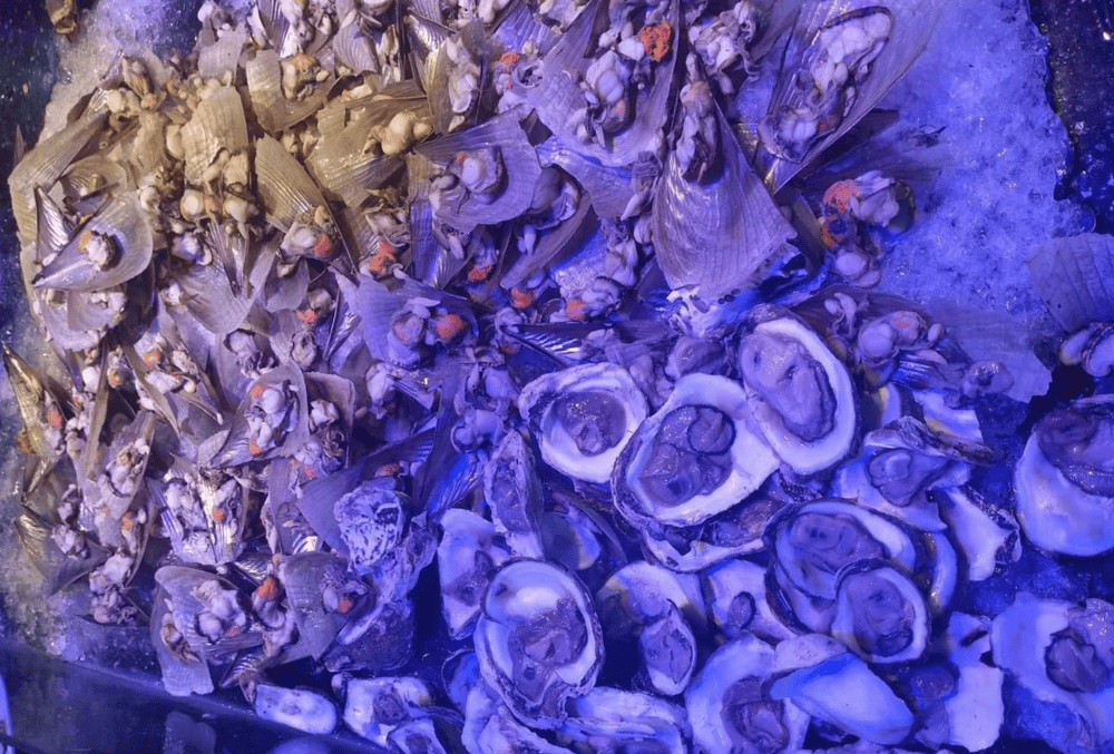 Buffet Duy&ecirc;n Hải đặc trưng l&agrave; hải sản thả hồ tươi sống, giữ nguy&ecirc;n vị ngọt khi ăn (Nguồn: Buffet Duy&ecirc;n Hải)